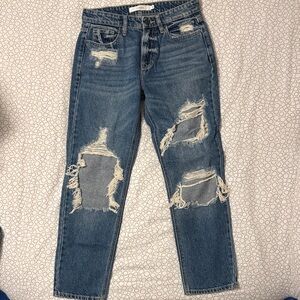 Hidden Brand Distressed Blue Jeans